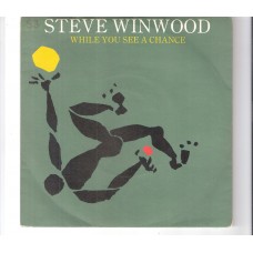 STEVE WINWOOD - While you see a chance